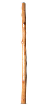 Natural Finish Didgeridoo (TW1810)